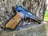 BHAdvanced Masterpiece FM Argentina 9mm Hi-Power - 11 of 17