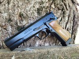 BHAdvanced Masterpiece FM Argentina 9mm Hi-Power - 14 of 17