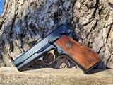 DUAL-CALIBER BHMasterpiece SFS Hi-Power .40S&W / 9mm Compact - 15 of 19
