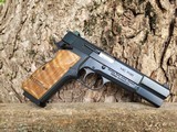 BHMasterpiece SFS Hi-Power 9mm by BHSpringSolutions.com from Girsan MC-P35 - 4 of 14