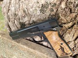 BHMasterpiece SFS Hi-Power 9mm by BHSpringSolutions.com from Girsan MC-P35 - 11 of 14