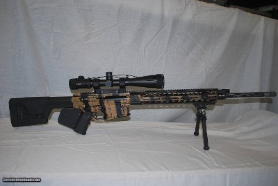 Nemo (New Evolution Military Ordnance) OMEN Watchman 300 WM