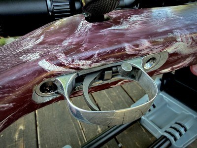 Professionally Tuned Remington 223 in 700 action. $1450 - Image 5 of 8
