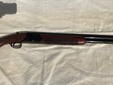 CZ Teal 12 ga. hunting shotgun