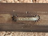 Outstanding.45 Hawken Rifle w/Bill Large Barrel - 14 of 14