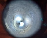 Beautiful 11 Bore Van Wart Son & Co. British SxS - 11 of 15