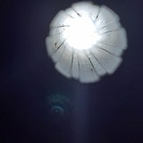 Custom
.50 Late Lancaster Style Flintlock - 2 of 14