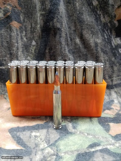 300 WINCHESTER MAGNUM
NOSLER 200 GRAIN PARTITION