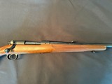 Winchester Pre-64 Model 70, 243 Winchester