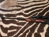Rare Ruger #1 in 38-55 - 4 of 6