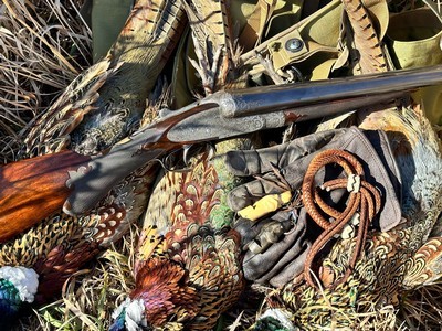 W&C Scott Imperial Premier 12 Bore Sidelock Ejector - 28” Embellished Two Barrel Set 12ga Gauge - Image 1 of 14