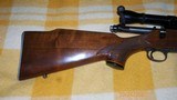 Remington 700 BDL Varmint 243-1967 1st.Year - 3 of 11