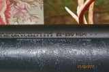 Remington 700 VS 22-250/Burris Signature scope - 10 of 11