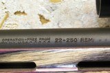 Remington 700 Heavy Varmint 22-250 Rem./Nikon Buckmaster scope - 11 of 13