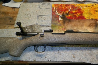 Remington 700 Varmint 22-250/H-S Precision/26