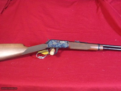 Winchester 9422M Case Color