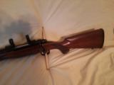 Winchester Model 70 - 5 of 5