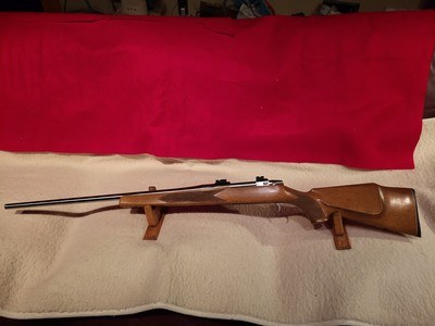 Sako Forester action