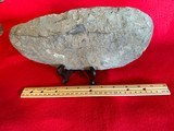 Extra Large Early Man Stone Tool/Weapon