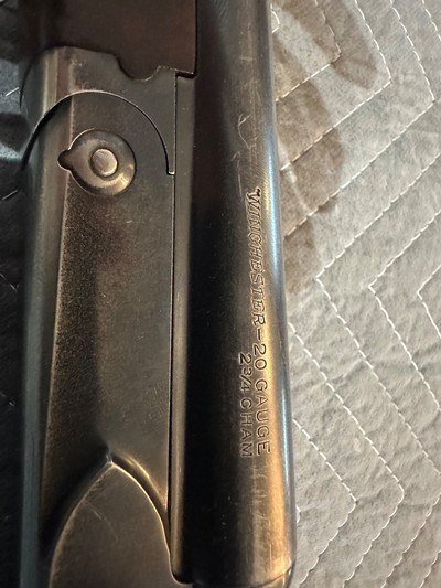 Winchester 21 20gauge - Image 8 of 17