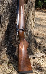 American Hunting Rifles upgraded CZ 550 in .500 Jeffery - 5 of 14