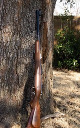 American Hunting Rifles upgraded CZ 550 in .500 Jeffery - 6 of 14