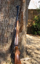 American Hunting Rifles upgraded CZ 550 in .500 Jeffery - 1 of 14