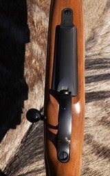 American Hunting Rifles upgraded CZ 550 in .500 Jeffery - 9 of 14