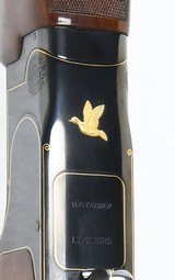 Winchester 101 American Flyer Live Pigeon - 9 of 12