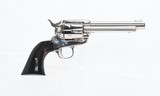Colt SAA 5 1/2" 44-40 Nickel, Buffalo Horn grips NIB - 1 of 10
