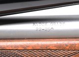 Sako A II Varmint 22-250 - 7 of 10