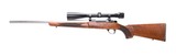 Sako A II Varmint 22-250 - 4 of 10