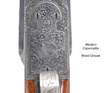 Parker Reproduction A-1 Special 20 gauge 2-barrel set engraved by Brian Gouse - 12 of 19