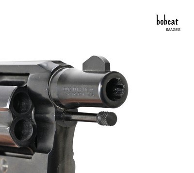 Colt Detective Special, 2