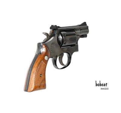 Smith & Wesson Model 15-2, 2