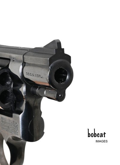 Smith & Wesson Model 15-2, 2