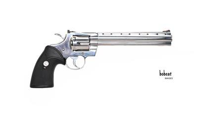 Colt Python Ultimate Stainless Steel 8