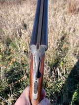 L.C. Smith Field 20ga with 30" barrels and Full/Full Chokes - 4 of 15