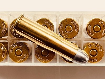 45-75 Winchester(WCF) 390 Grain RNFP Lead Smokeless Precision Hand-Loaded in Virgin Jamison Brass 20 Rounds - Image 4 of 6