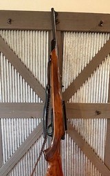 Remington 660 Bolt action in 6mm near - 4 of 11