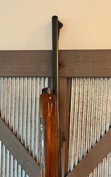 Unfired Remington 1100, 12 gauge, rifle sights - 7 of 12