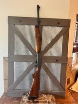 Remington 1100 semi auto 12 gauge, slug gun, rifle sights - 5 of 11