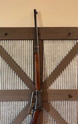 1923 Winchester 1895 30 Govt very nice condition - 7 of 15