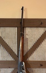 1923 Winchester 1895 30 Govt very nice condition - 4 of 15