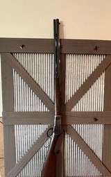 Chiappa 1892 44-40 Case Colored, Nice! - 5 of 11