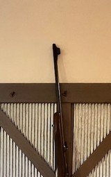 1957 Winchester Model 70 in 257 ROBERTS, Nice!, Pre 64 - 6 of 15