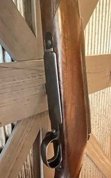 1957 Winchester Model 70 in 257 ROBERTS, Nice!, Pre 64 - 9 of 15