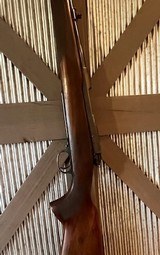 1957 Winchester Model 70 in 257 ROBERTS, Nice!, Pre 64 - 7 of 15