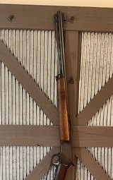 1969 Marlin 39a Golden Mountie, very nice - 5 of 15