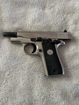 Colt Government 380 in nickel - 8 of 10